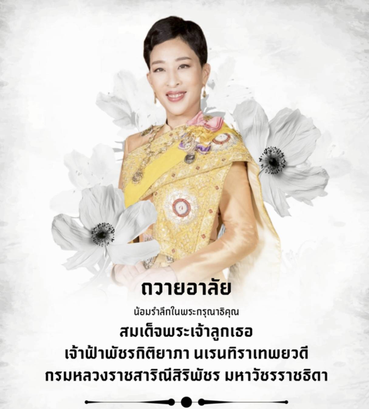 เข้าสู่เว็บไซต์ โรงพยาบาลสิรินธร